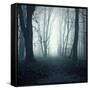 Forest-Mark Ashkenazi-Framed Stretched Canvas