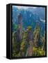 Forested Sandstone Pinnacles, Zhangjiajie National Forest Park, Hunnan, China-Charles Crust-Framed Stretched Canvas