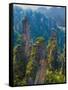 Forested Sandstone Pinnacles, Zhangjiajie National Forest Park, Hunnan, China-Charles Crust-Framed Stretched Canvas
