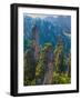 Forested Sandstone Pinnacles, Zhangjiajie National Forest Park, Hunnan, China-Charles Crust-Framed Photographic Print