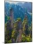 Forested Sandstone Pinnacles, Zhangjiajie National Forest Park, Hunnan, China-Charles Crust-Mounted Photographic Print