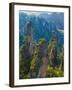 Forested Sandstone Pinnacles, Zhangjiajie National Forest Park, Hunnan, China-Charles Crust-Framed Photographic Print