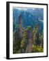 Forested Sandstone Pinnacles, Zhangjiajie National Forest Park, Hunnan, China-Charles Crust-Framed Photographic Print