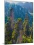 Forested Sandstone Pinnacles, Zhangjiajie National Forest Park, Hunnan, China-Charles Crust-Mounted Photographic Print