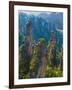 Forested Sandstone Pinnacles, Zhangjiajie National Forest Park, Hunnan, China-Charles Crust-Framed Photographic Print