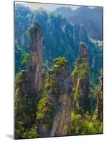 Forested Sandstone Pinnacles, Zhangjiajie National Forest Park, Hunnan, China-Charles Crust-Mounted Photographic Print