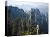 Forested Sandstone Pinnacles, Zhangjiajie National Forest Park, Hunnan, China-Charles Crust-Stretched Canvas