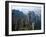 Forested Sandstone Pinnacles, Zhangjiajie National Forest Park, Hunnan, China-Charles Crust-Framed Photographic Print