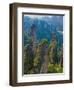 Forested Sandstone Pinnacles, Zhangjiajie National Forest Park, Hunnan, China-Charles Crust-Framed Photographic Print