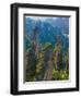 Forested Sandstone Pinnacles, Zhangjiajie National Forest Park, Hunnan, China-Charles Crust-Framed Photographic Print