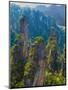 Forested Sandstone Pinnacles, Zhangjiajie National Forest Park, Hunnan, China-Charles Crust-Mounted Photographic Print