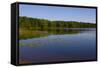 Forested Shoreline-unclealp-Framed Stretched Canvas