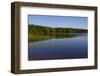 Forested Shoreline-unclealp-Framed Photographic Print