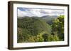 Forested Terrain, Plettenberg Bay, Garden Route, South Africa, Africa-Kim Walker-Framed Photographic Print