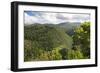 Forested Terrain, Plettenberg Bay, Garden Route, South Africa, Africa-Kim Walker-Framed Photographic Print