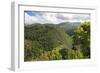 Forested Terrain, Plettenberg Bay, Garden Route, South Africa, Africa-Kim Walker-Framed Photographic Print