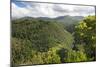 Forested Terrain, Plettenberg Bay, Garden Route, South Africa, Africa-Kim Walker-Mounted Photographic Print