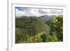 Forested Terrain, Plettenberg Bay, Garden Route, South Africa, Africa-Kim Walker-Framed Photographic Print