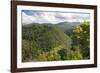 Forested Terrain, Plettenberg Bay, Garden Route, South Africa, Africa-Kim Walker-Framed Photographic Print