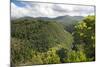 Forested Terrain, Plettenberg Bay, Garden Route, South Africa, Africa-Kim Walker-Mounted Photographic Print