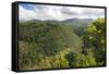 Forested Terrain, Plettenberg Bay, Garden Route, South Africa, Africa-Kim Walker-Framed Stretched Canvas