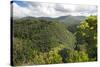 Forested Terrain, Plettenberg Bay, Garden Route, South Africa, Africa-Kim Walker-Stretched Canvas