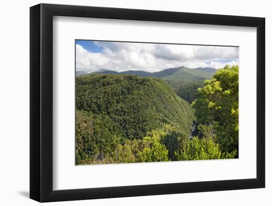 Forested Terrain, Plettenberg Bay, Garden Route, South Africa, Africa-Kim Walker-Framed Photographic Print