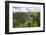 Forested Terrain, Plettenberg Bay, Garden Route, South Africa, Africa-Kim Walker-Framed Photographic Print