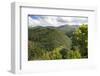 Forested Terrain, Plettenberg Bay, Garden Route, South Africa, Africa-Kim Walker-Framed Photographic Print