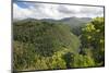 Forested Terrain, Plettenberg Bay, Garden Route, South Africa, Africa-Kim Walker-Mounted Photographic Print