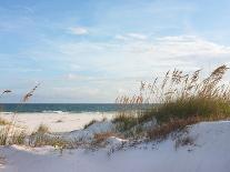 Footprints in the Sand at Sunset in the Dunes of Pensacola Beach, Florida.-forestpath-Photographic Print