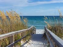 Beautiful Beach at Sunrise-forestpath-Laminated Photographic Print