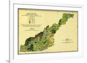 Forests of Western North Carolina - Panoramic Map-Lantern Press-Framed Art Print