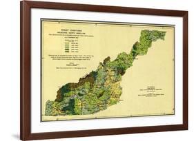 Forests of Western North Carolina - Panoramic Map-Lantern Press-Framed Art Print