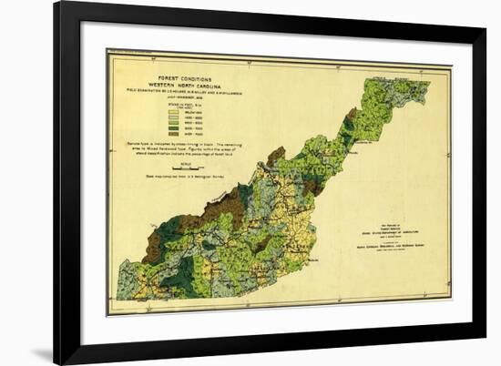 Forests of Western North Carolina - Panoramic Map-Lantern Press-Framed Art Print