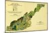 Forests of Western North Carolina - Panoramic Map-Lantern Press-Mounted Art Print