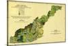 Forests of Western North Carolina - Panoramic Map-Lantern Press-Stretched Canvas