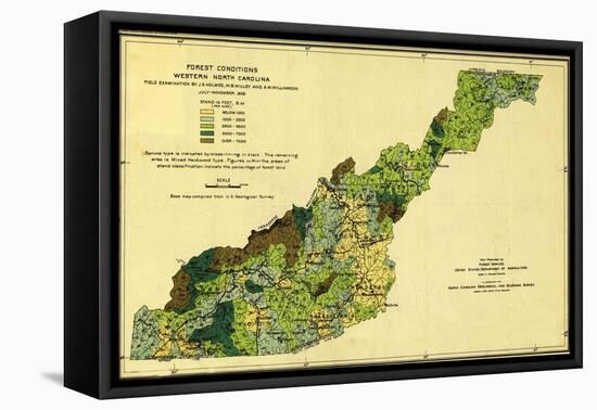 Forests of Western North Carolina - Panoramic Map-Lantern Press-Framed Stretched Canvas