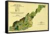 Forests of Western North Carolina - Panoramic Map-Lantern Press-Framed Stretched Canvas