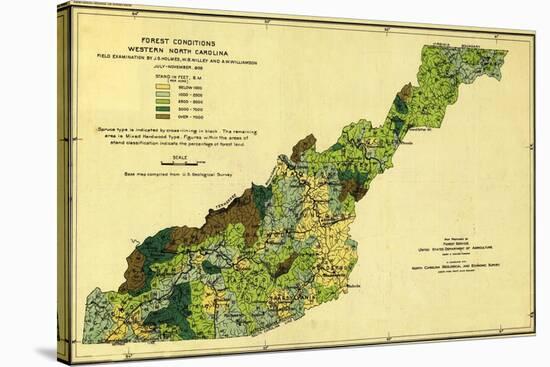 Forests of Western North Carolina - Panoramic Map-Lantern Press-Stretched Canvas