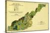 Forests of Western North Carolina - Panoramic Map-Lantern Press-Stretched Canvas