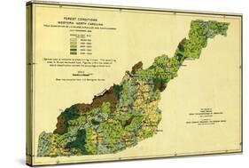 Forests of Western North Carolina - Panoramic Map-Lantern Press-Stretched Canvas