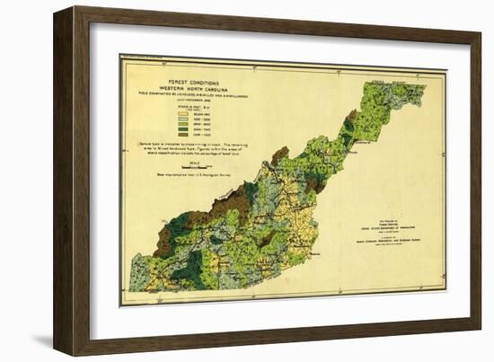 Forests of Western North Carolina - Panoramic Map-Lantern Press-Framed Art Print