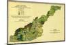 Forests of Western North Carolina - Panoramic Map-Lantern Press-Mounted Art Print