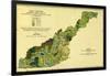 Forests of Western North Carolina - Panoramic Map-Lantern Press-Framed Art Print