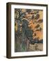 'Foret De Sapins Au Declin Du Jour', 1889-Vincent van Gogh-Framed Giclee Print