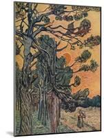 'Foret De Sapins Au Declin Du Jour', 1889-Vincent van Gogh-Mounted Giclee Print