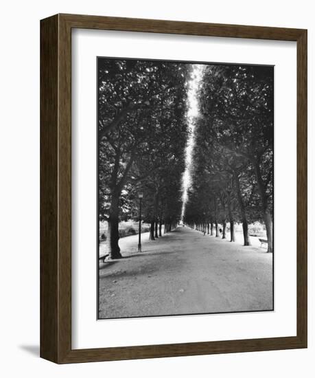 Forêt Longue-A^J^ Casson-Framed Giclee Print