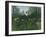 Foret Vierge au Soleil Couchant-Henri Rousseau-Framed Giclee Print