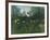 Foret Vierge au Soleil Couchant-Henri Rousseau-Framed Giclee Print